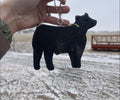Car Freshie - 1 Livestock Stock Show 4h Show Animal Freshies, Steer, Heifer, Pig, Goat, Lamb, Sheep Air Freshener FFA, Buyer Gifts, County Fair Awards